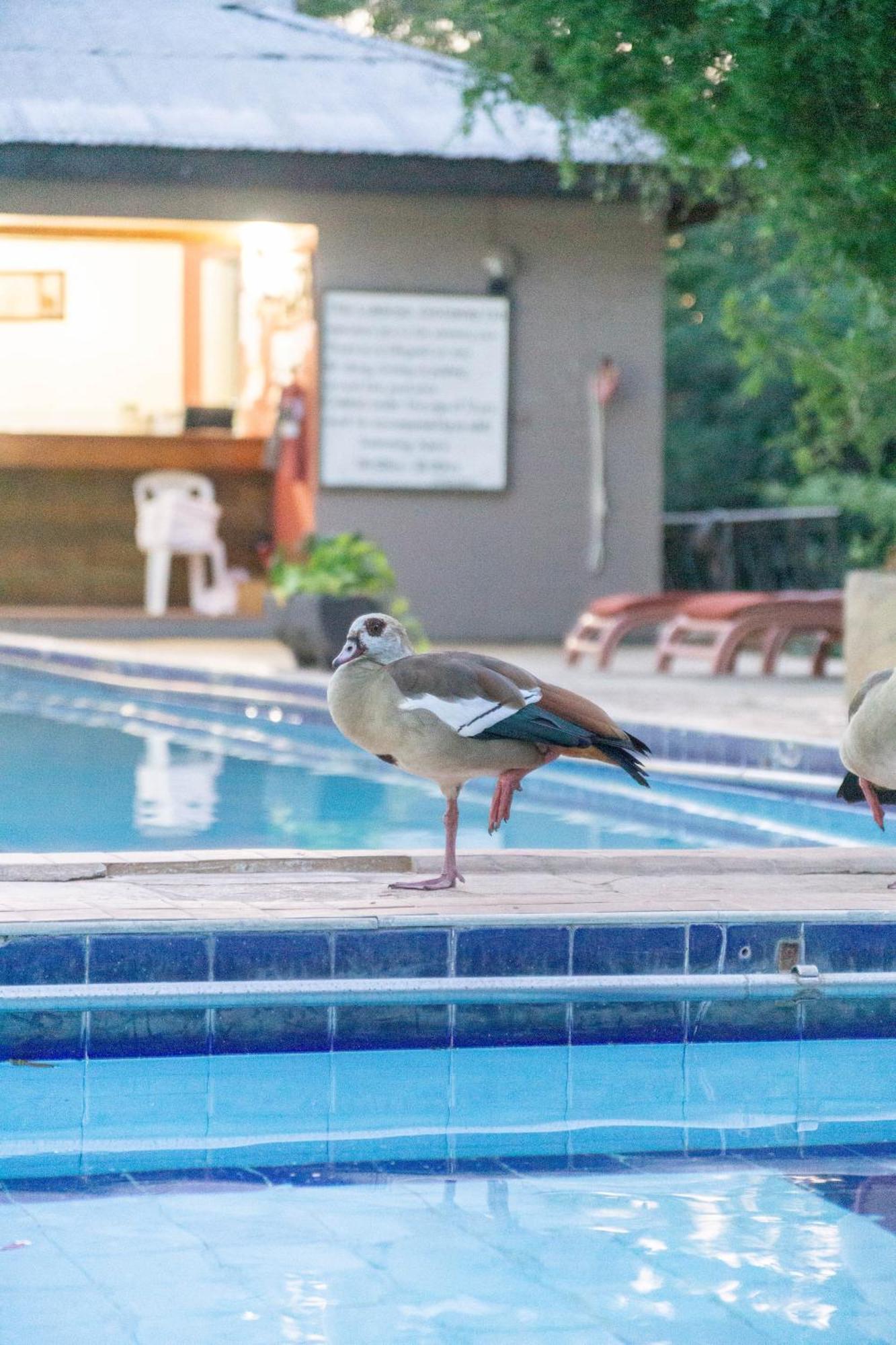 Lukenya Getaway Hotel Athi River Kültér fotó