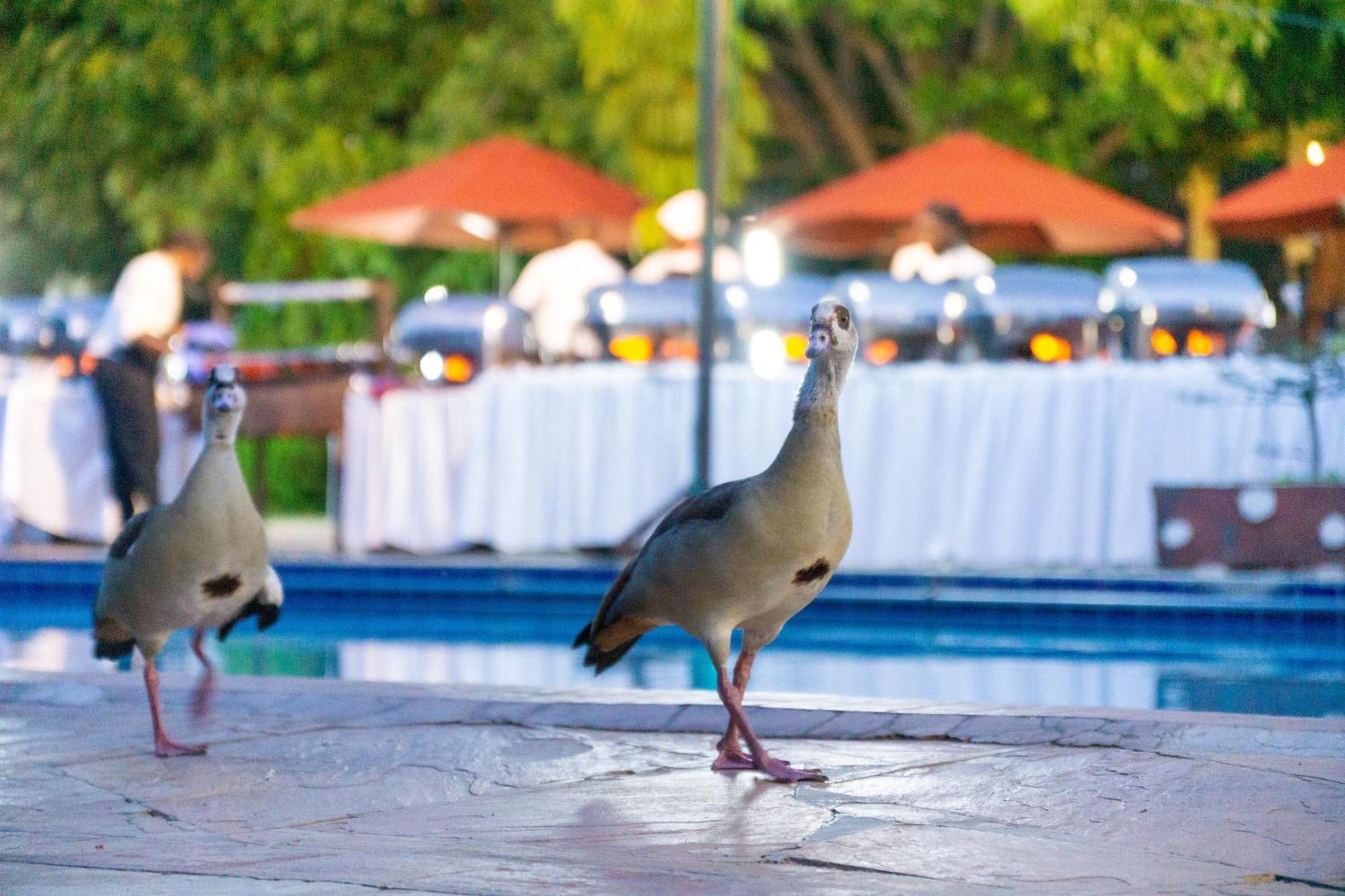Lukenya Getaway Hotel Athi River Kültér fotó