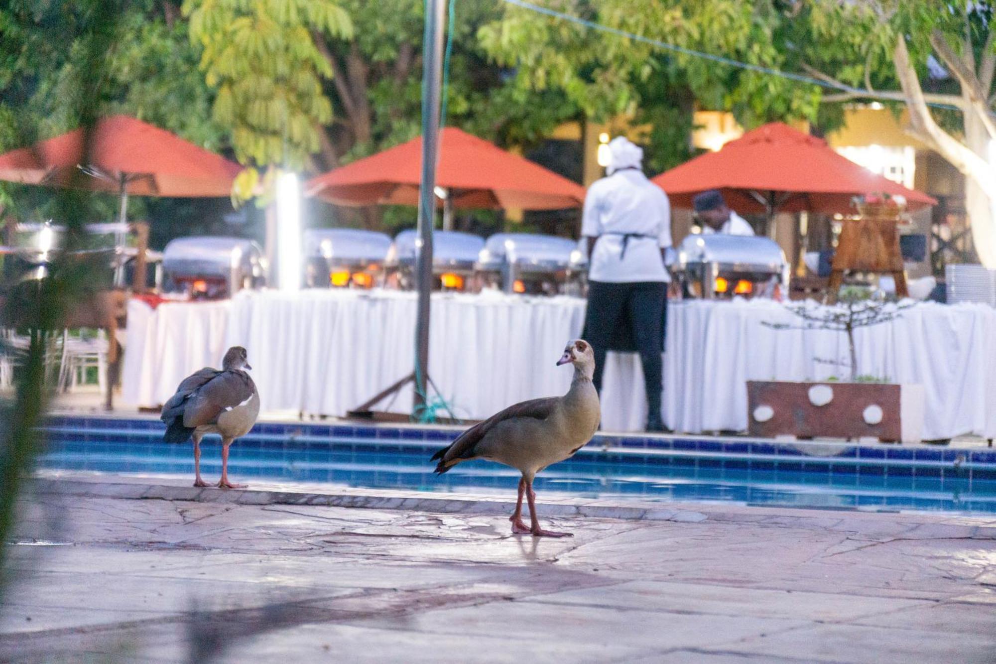 Lukenya Getaway Hotel Athi River Kültér fotó
