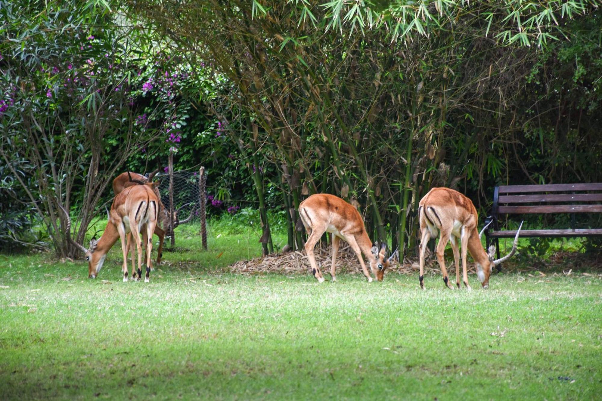 Lukenya Getaway Hotel Athi River Kültér fotó