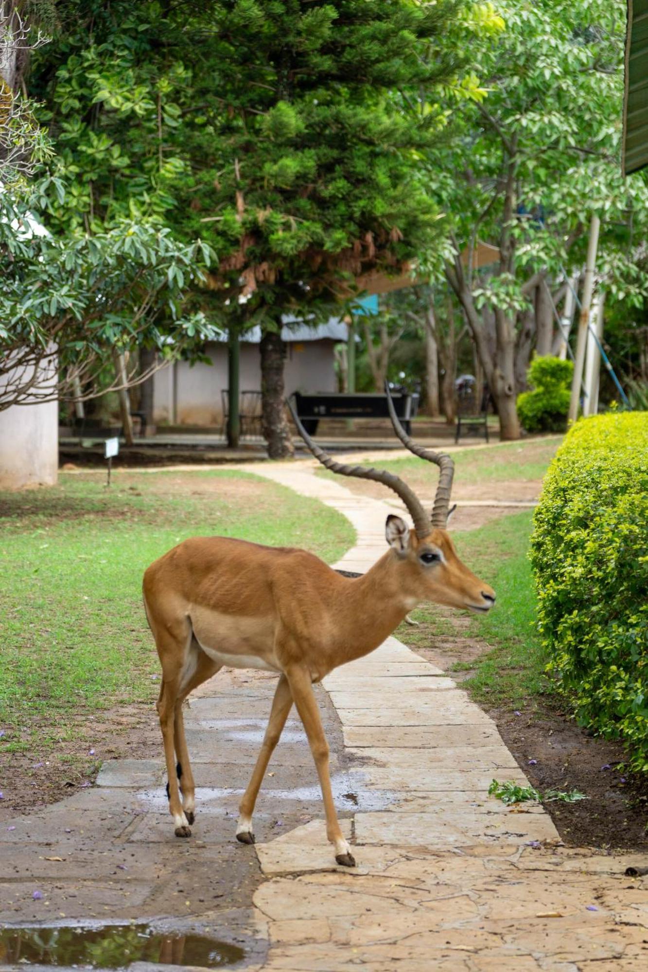 Lukenya Getaway Hotel Athi River Kültér fotó